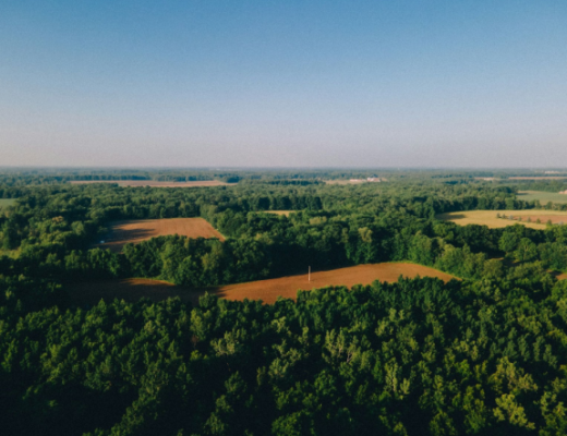 Aerial View of Vacant Lots of Land